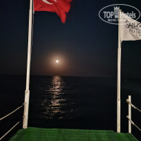 фото из отзыва ID 2676567