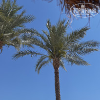 фото из отзыва ID 2676638