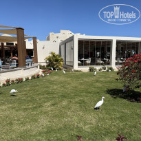 фото из отзыва ID 2676683