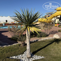 фото из отзыва ID 2676683