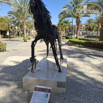 фото из отзыва ID 2676548