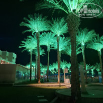 фото из отзыва ID 2676548