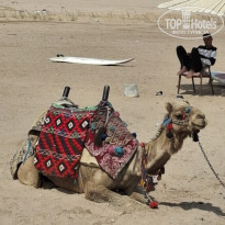 фото из отзыва ID 2676548