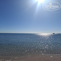 фото из отзыва ID 2676548