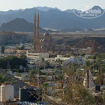 фото из отзыва ID 2676759