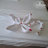 фото из отзыва ID 2676548