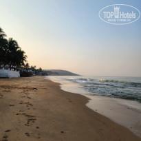 фото из отзыва ID 2676729