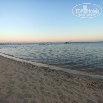 фото из отзыва ID 2676857