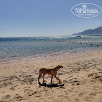 фото из отзыва ID 2676857