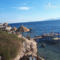 фото из отзыва ID 2676863