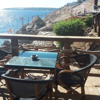 фото из отзыва ID 2676863