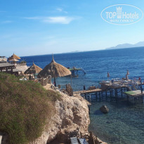 фото из отзыва ID 2676863