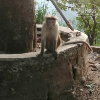 фото из отзыва ID 2676879