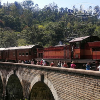 фото из отзыва ID 2676879