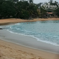 фото из отзыва ID 2676879