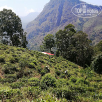 фото из отзыва ID 2676879