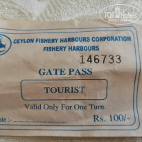 фото из отзыва ID 2676879