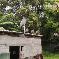 фото из отзыва ID 2676879