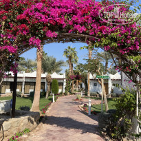 фото из отзыва ID 2676943