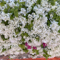 фото из отзыва ID 2676943