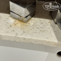 фото из отзыва ID 2676956