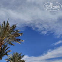 фото из отзыва ID 2676857