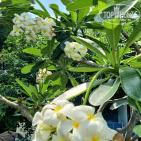 фото из отзыва ID 2676354