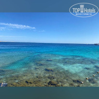 фото из отзыва ID 2677139