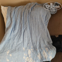 фото из отзыва ID 2677141