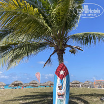 фото из отзыва ID 2677178