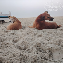 фото из отзыва ID 2677203