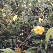 фото из отзыва ID 2677203