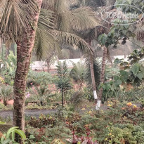 фото из отзыва ID 2677203