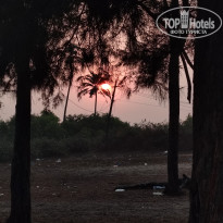 фото из отзыва ID 2677203