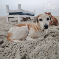 фото из отзыва ID 2677203