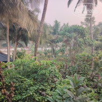 фото из отзыва ID 2677203