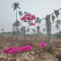 фото из отзыва ID 2677203