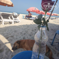 фото из отзыва ID 2677203