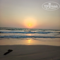 фото из отзыва ID 2677203