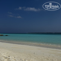 фото из отзыва ID 2677204