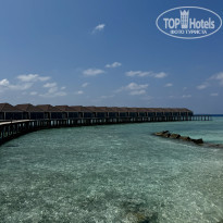 фото из отзыва ID 2677204