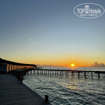 фото из отзыва ID 2677204