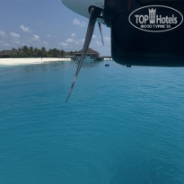 фото из отзыва ID 2677204