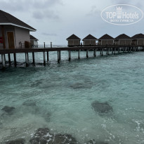 фото из отзыва ID 2677204