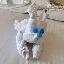 фото из отзыва ID 2677205