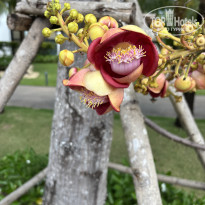 фото из отзыва ID 2677211