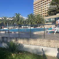 фото из отзыва ID 2677236