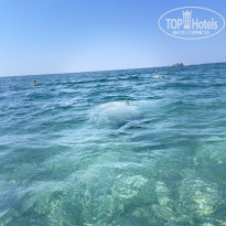 фото из отзыва ID 2677236