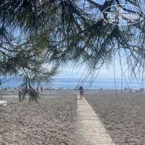 фото из отзыва ID 2677236