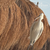 фото из отзыва ID 2677254